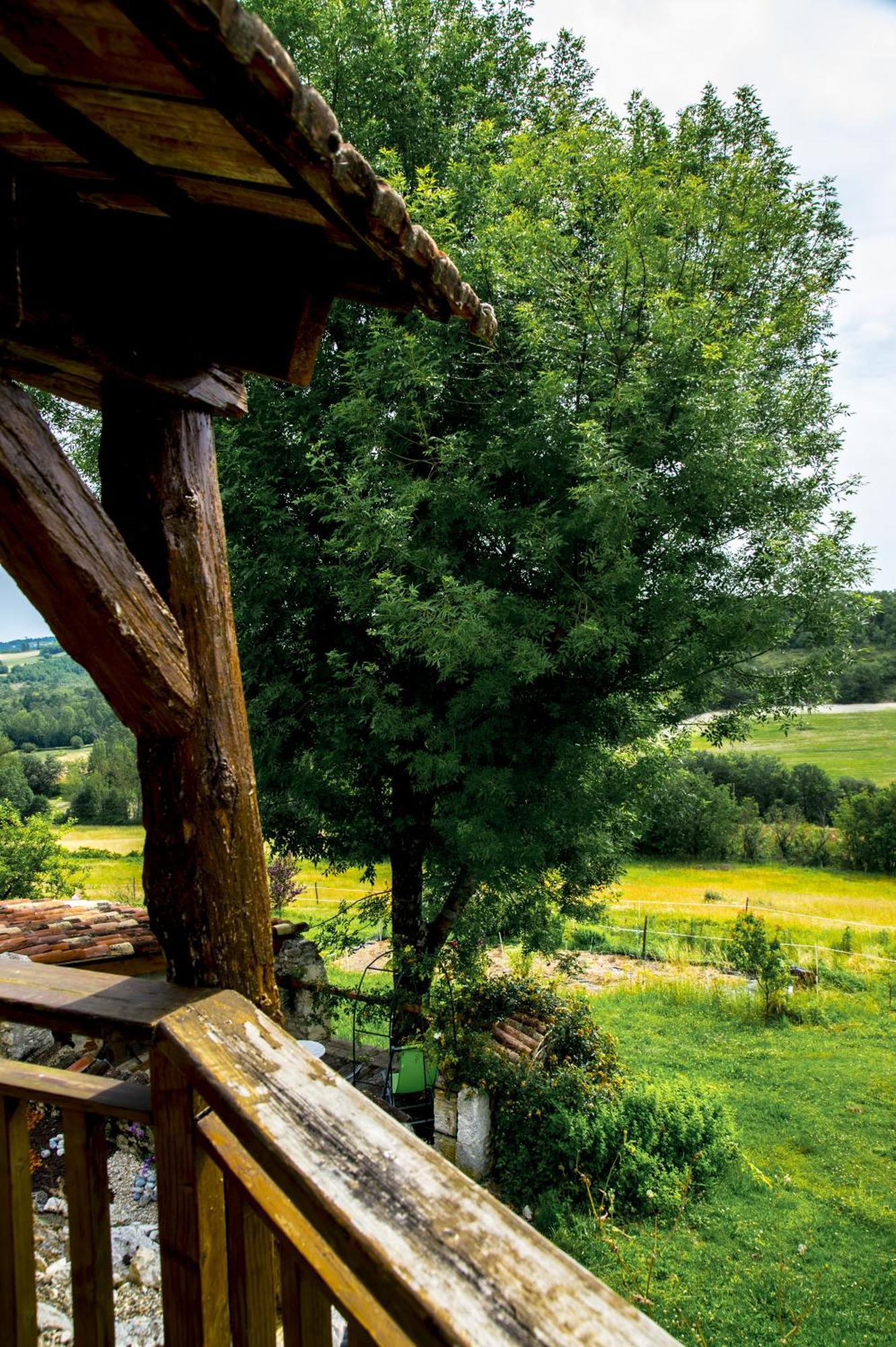 Le Mas Des Papillons Fargues  Exterior photo